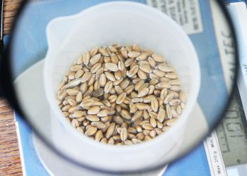 Dioničarima će se prije preuzimanja ipak isplatiti milijun eura dividende