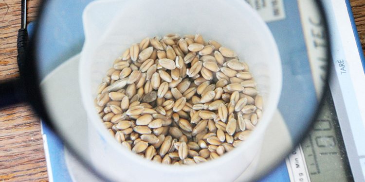 Dioničarima će se prije preuzimanja ipak isplatiti milijun eura dividende