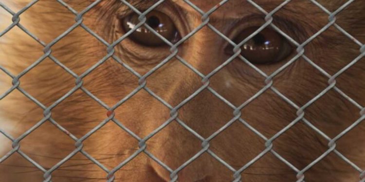 Dobrobit životinja kao čuvstvenih bića : ‘EU i države članice posvećuju punu pažnju zahtjevima’