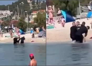 Dramatično uhićenje u plićaku plaže u Tribunju: Mahao nožem, pa ukrao motor i sletio u more