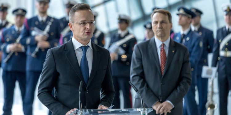 Država EU optužuje drugu članicu za ‘licemjerje’ prema Rusiji — RT World News