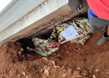 EKSHUMACIJA U MOSTARU Pronađeni posmrtni ostaci jedne osobe