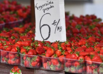 Ekonomski analitičar o rastu potrošnje i inflaciji u Hrvatskoj: “Dobili smo trojanskog konja”