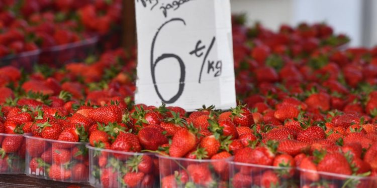 Ekonomski analitičar o rastu potrošnje i inflaciji u Hrvatskoj: “Dobili smo trojanskog konja”