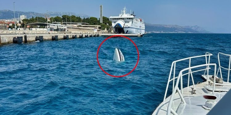 FOTO Brodica potonula pred obalama Splita: “Došlo je do ozbiljne opasnosti za plovidbu pred gradskom lukom”