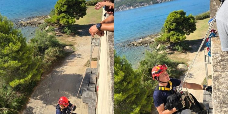 FOTO Osposobljavanje vatrogasnih K9 timova za spašavanje iz dubina i visina