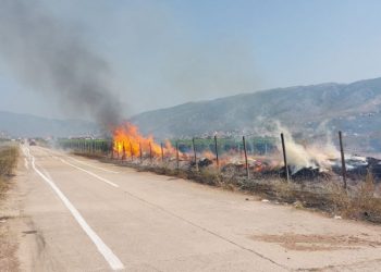 FOTO Pravovremenom intervencijom vatrogasaca spriječeno širenje požara u mostarskom vinogradu