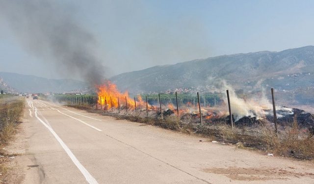 FOTO Pravovremenom intervencijom vatrogasaca spriječeno širenje požara u mostarskom vinogradu