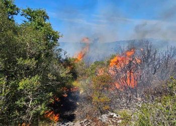 GORI U ISTRI Na terenu kanaderi i 40 vatrogasaca!