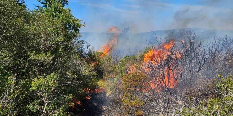 GORI U ISTRI Na terenu kanaderi i 40 vatrogasaca!