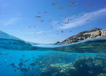 Hrvatsko more najčišće je more u Europi