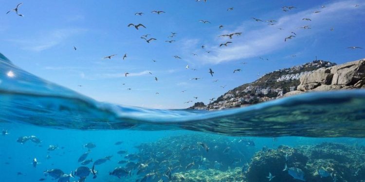 Hrvatsko more najčišće je more u Europi