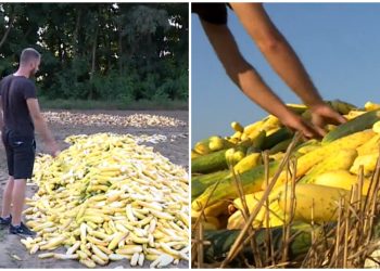 I nebo plače nad ovim prizorima mladog hrvatskog seljaka: ‘To je tužno’