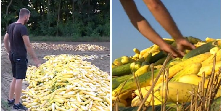 I nebo plače nad ovim prizorima mladog hrvatskog seljaka: ‘To je tužno’