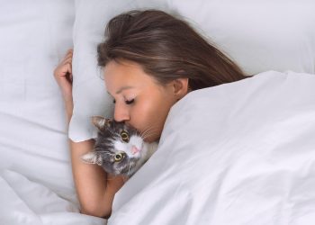 IMA NEKA TAJNA VEZA Ako ste se pitali vole li mačke ljude, odgovor je potvrdan. Ali samo neke ljude | NACIONAL.HR