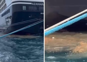 Je li se to u Zadru olakšao kruzer ili to opet oko grada plivaju gradske fekalije?
