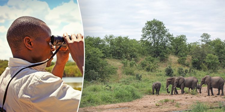 Južnoafrički vodič: Očekujte odmor ispunjen divljim životinjama i prekrasnim pogledom