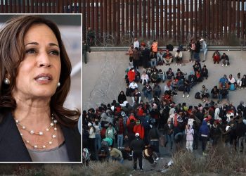 Kako bi se predsjednik Harris nosio s imigracijom, graničnom krizom?