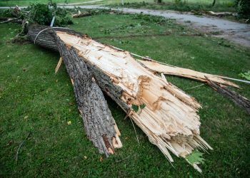 Kaos u omiljenom parku: Pogledajte kako izgleda Maksimir nakon nevremena