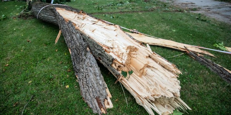 Kaos u omiljenom parku: Pogledajte kako izgleda Maksimir nakon nevremena