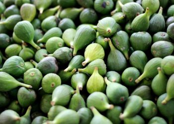 Kilo smokava ide za 20 eura. Prodavačica: To su normalne cijene