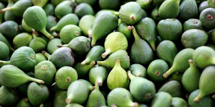 Kilo smokava ide za 20 eura. Prodavačica: To su normalne cijene