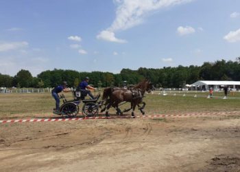 Konjičko natjecanje u Feričancima
