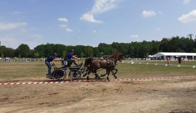 Konjičko natjecanje u Feričancima