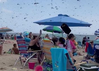 Kupači u panici bježali s plaže, scena kao iz Biblije: ‘Ovakvo nešto nisam vidjela u životu’