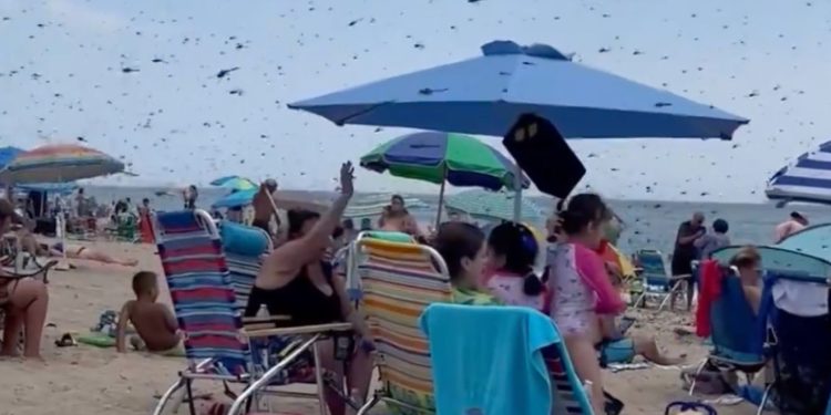 Kupači u panici bježali s plaže, scena kao iz Biblije: ‘Ovakvo nešto nisam vidjela u životu’