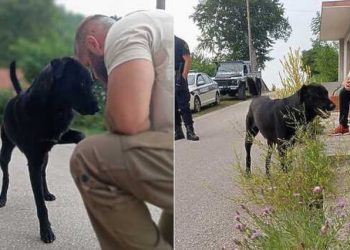 LIJEPE VIJESTI Pas Bleki dobio novu obitelj nakon stravičnog zlostavljanja u Livnu čija je snimka zgrozila javnost