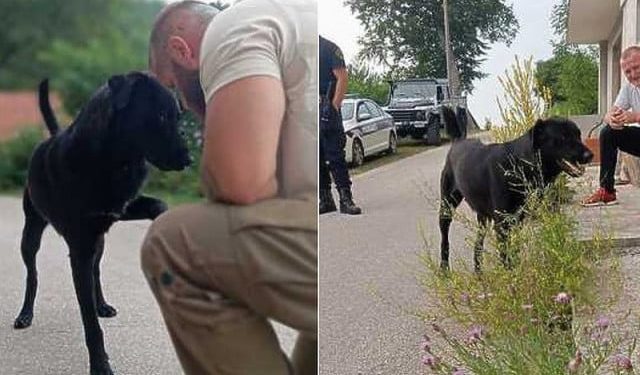 LIJEPE VIJESTI Pas Bleki dobio novu obitelj nakon stravičnog zlostavljanja u Livnu čija je snimka zgrozila javnost