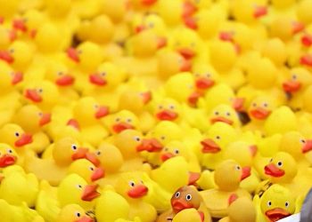 Londonska humanitarna utrka gumenih patkica prikazuje tisuće ptica koje plutaju kanalom