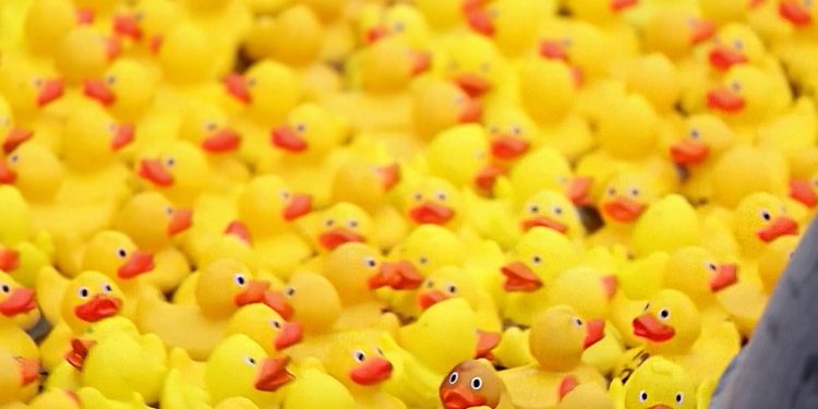 Londonska humanitarna utrka gumenih patkica prikazuje tisuće ptica koje plutaju kanalom