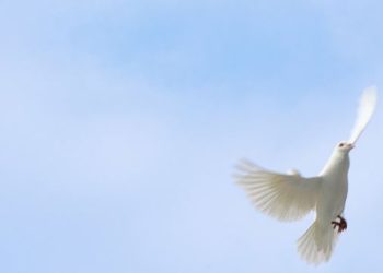 Molitva Duhu Svetom – Vjera.hr