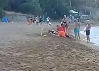 Muškarca na plaži napao roj osa: Nisu ga ni taknule, ali svejedno je umro