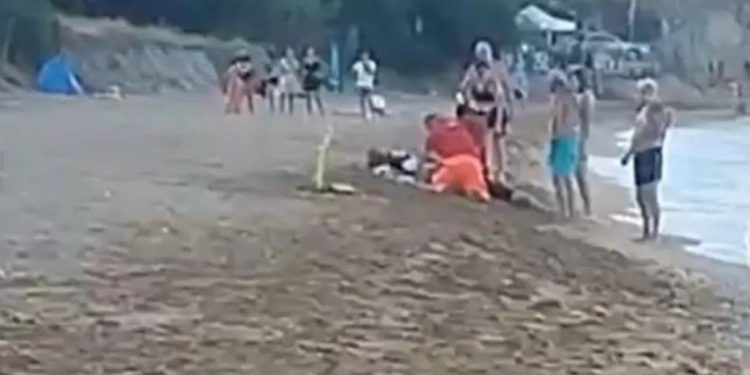 Muškarca na plaži napao roj osa: Nisu ga ni taknule, ali svejedno je umro