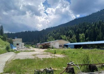 NAPUŠTENA PILANA Kineska borba za bh. sirovine