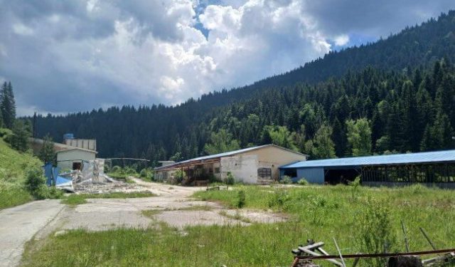 NAPUŠTENA PILANA Kineska borba za bh. sirovine