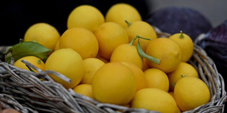 Najskuplja tržnica u Hrvatskoj bez konkurencije: ‘Svakome bih preporučio ove proizvode’