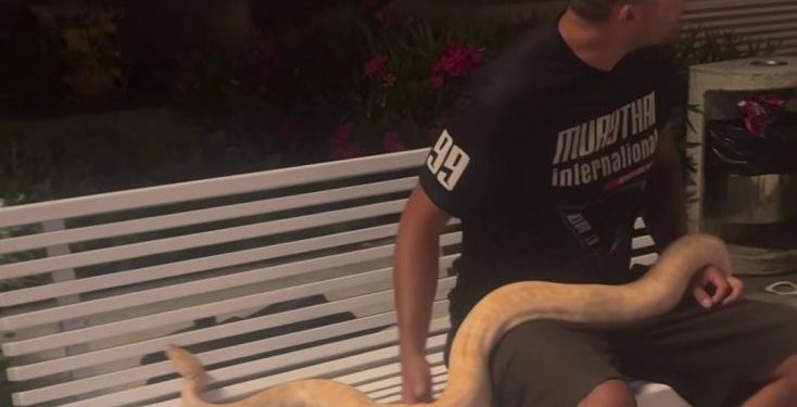 Netko je sinoć zvao policiju zbog ogromne zmije na Rivi