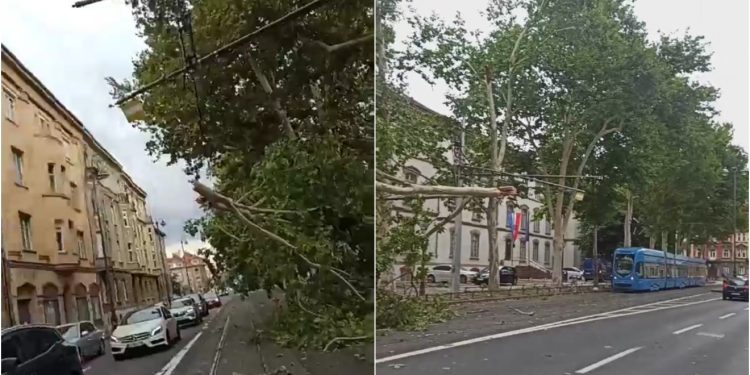 Nevrijeme izazvalo kaos u Zagrebu: Na tramvajsku prugu i žice palo stablo, ZET-ovac sve snimio
