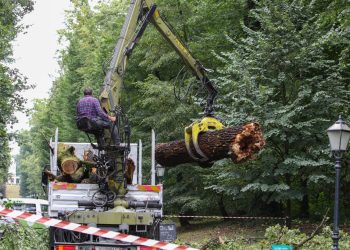 Nevrijeme napravilo kaos u Zagrebu: Padala su stabla, pogledajte prizore iz Maksimira