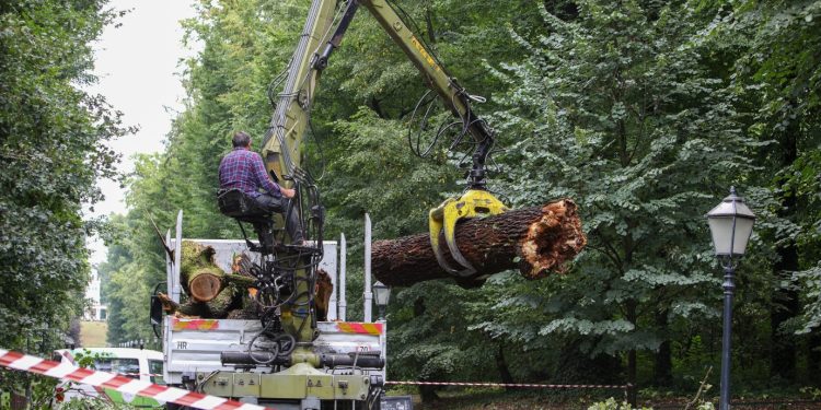 Nevrijeme napravilo kaos u Zagrebu: Padala su stabla, pogledajte prizore iz Maksimira
