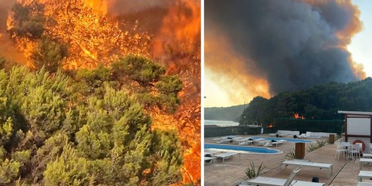 Nove informacije s velikog požarišta kod Segeta. Objekti nisu ugroženi, preko 70 vatrogasaca je na terenu