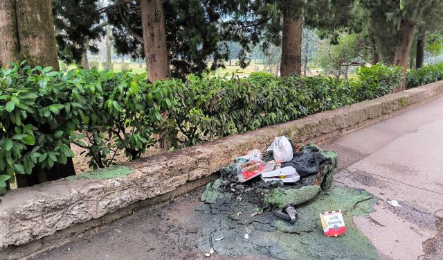 OSTALA SAMO HRPA PLASTIKE Izgorio kontejner kod parka Zrinjevac