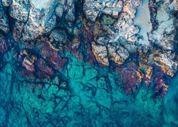 OTPORNI JADRAN Unatoč temperaturama višim za 5 stupnjeva održana je izvorna bioraznolikost!