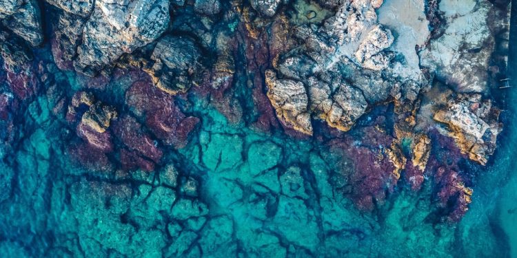 OTPORNI JADRAN Unatoč temperaturama višim za 5 stupnjeva održana je izvorna bioraznolikost!