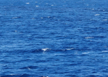 OZBILJNA PROMJENA Što se događa s temperaturom mora u Dubrovniku?