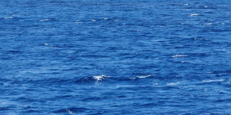 OZBILJNA PROMJENA Što se događa s temperaturom mora u Dubrovniku?